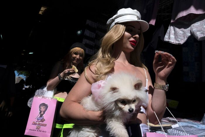 50 Dog Photos That Happened Exactly When They Were Meant To