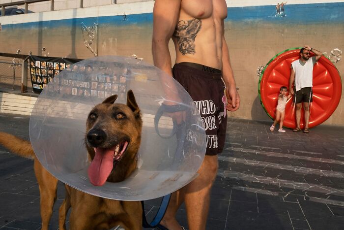 50 Dog Photos That Happened Exactly When They Were Meant To