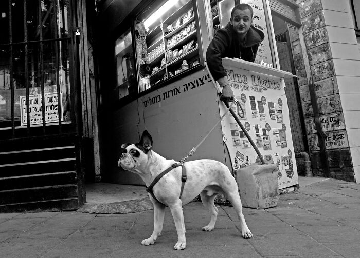 50 Dog Photos That Happened Exactly When They Were Meant To