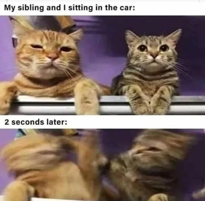 Sibling Rivalry Level: Blursed