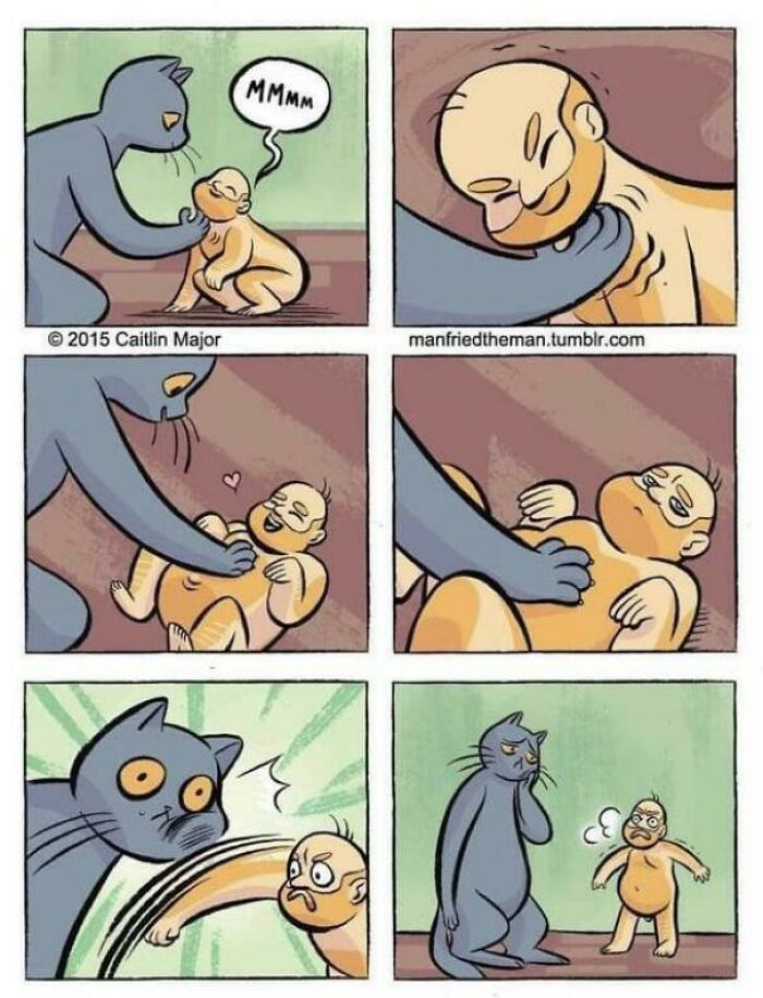 Pet Problems with a Blursed Flavor