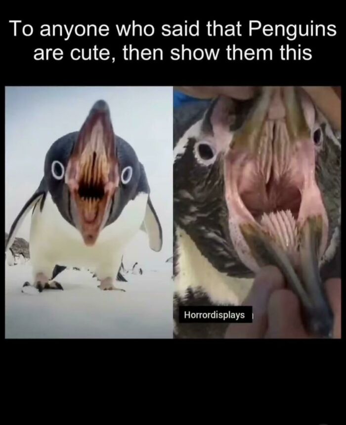 Sorry to Everyone with Nightmares, Blursed Style