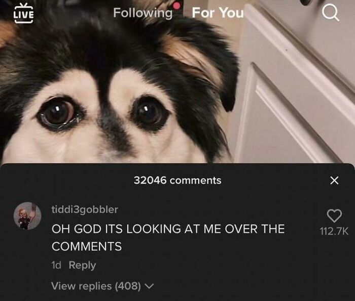 What Is It?! Serious Blursed Vibes