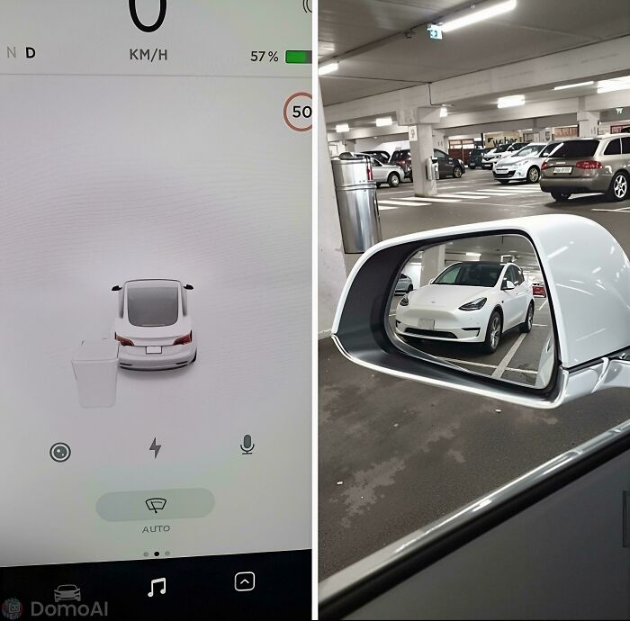 Tesla? More Like Blursed Tesla