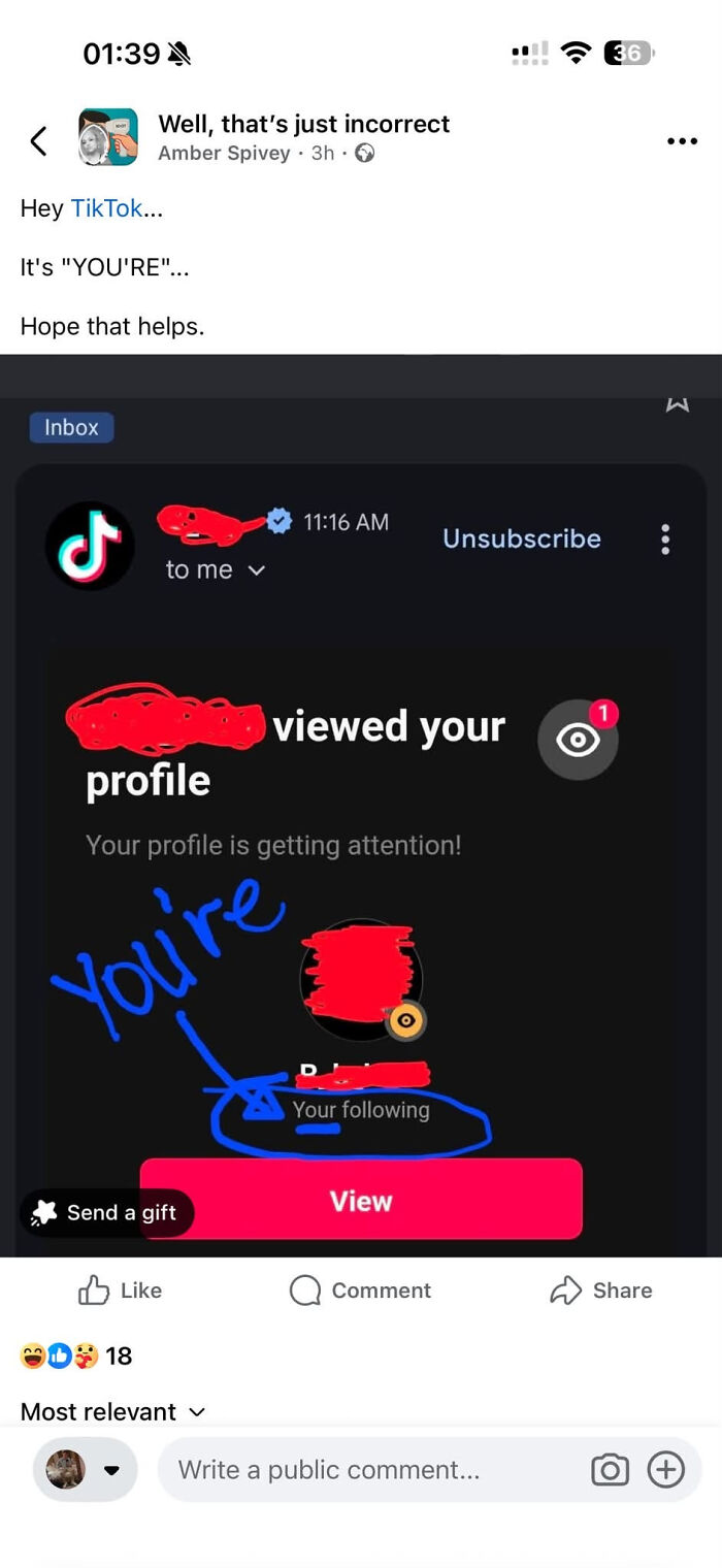 Oops! When The 'Corrector' Gets Schooled Instead
