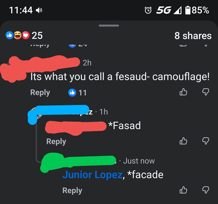 Oops! When The 'Corrector' Gets Schooled Instead