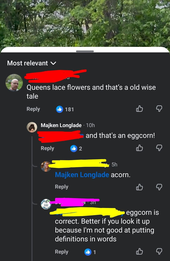 Oops! When The 'Corrector' Gets Schooled Instead
