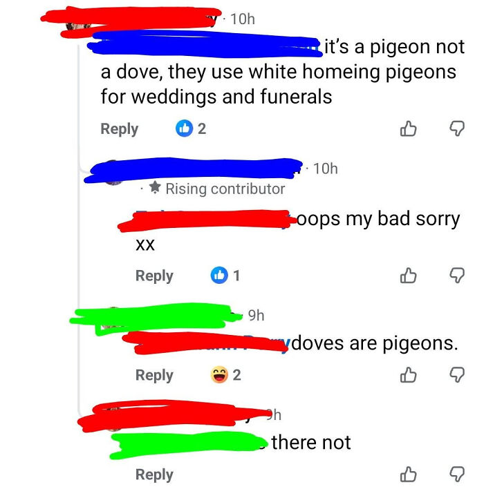 Oops! When The 'Corrector' Gets Schooled Instead