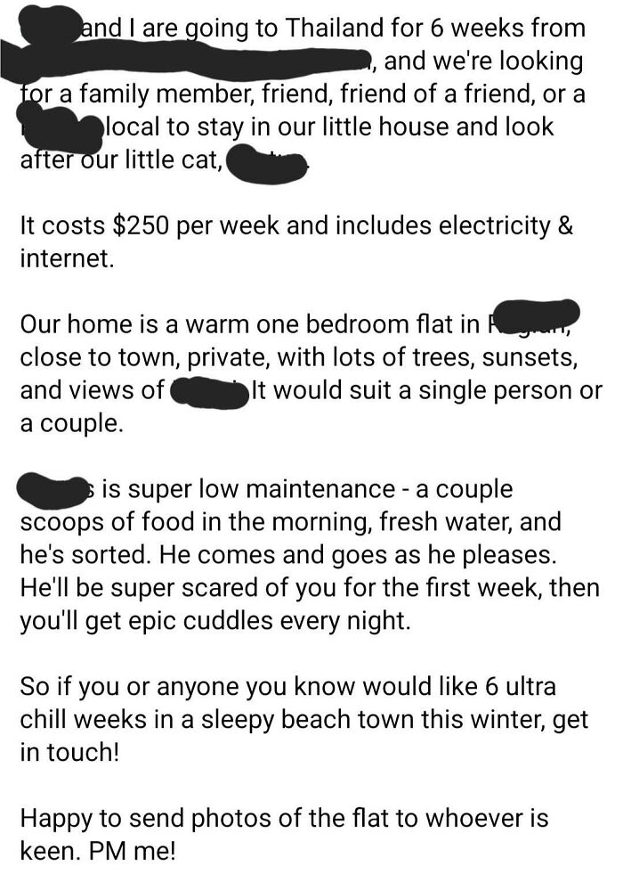 Want a House/Cat Sitter? It'll Cost You $250 a Week!