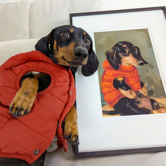 These 40 Dogs Are Basically Guaranteed To Make Your Day 100% Better