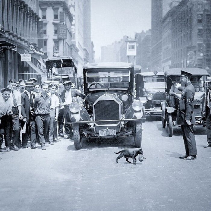 Wait, They Really Took Photos Like This? A Wild Tour Through History!