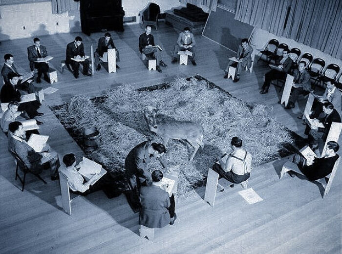 Wait, They Really Took Photos Like This? A Wild Tour Through History!