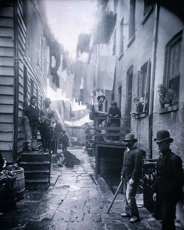 Wait, They Really Took Photos Like This? A Wild Tour Through History!