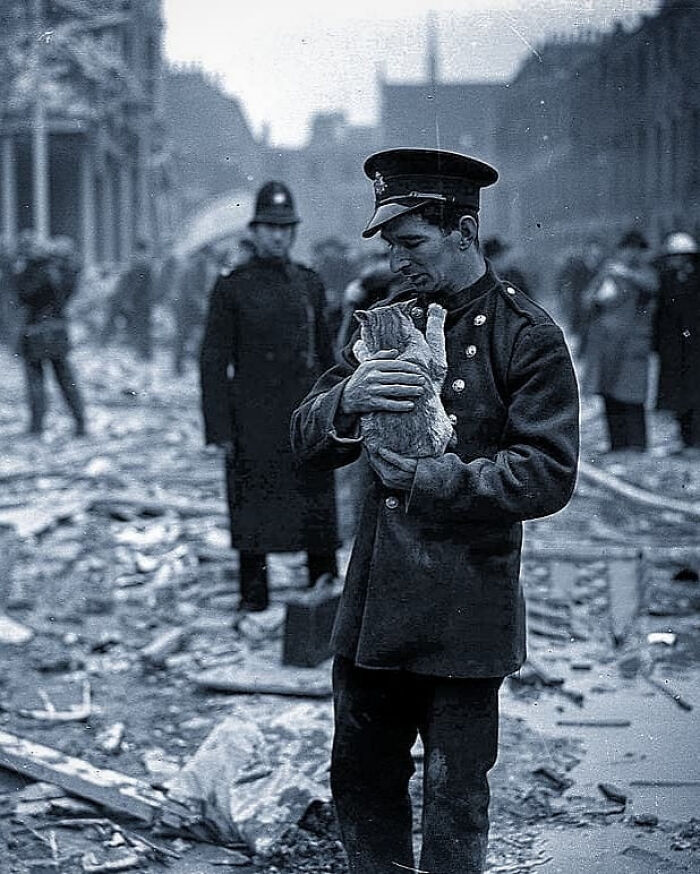 Wait, They Really Took Photos Like This? A Wild Tour Through History!