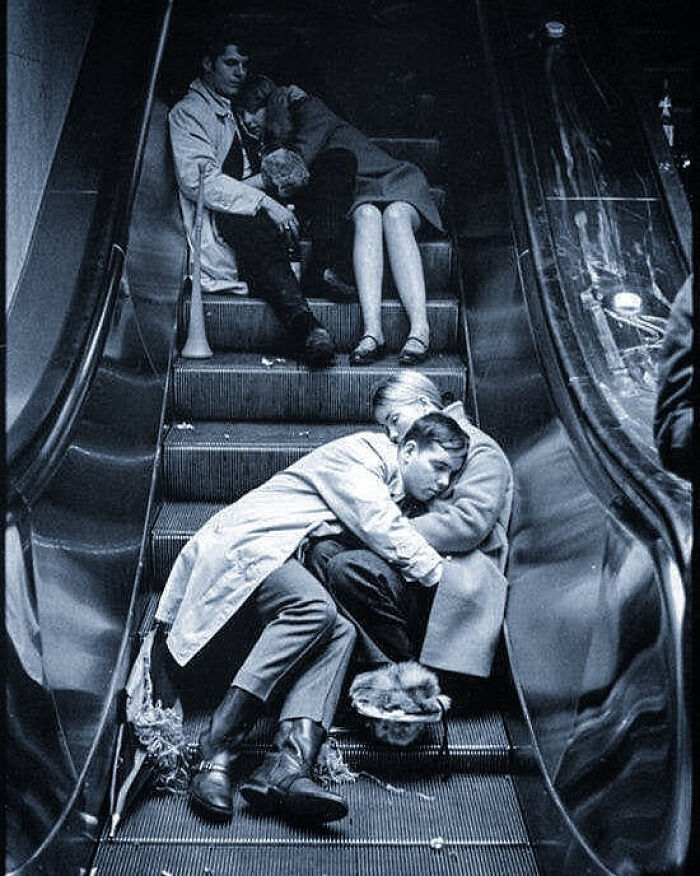 Wait, They Really Took Photos Like This? A Wild Tour Through History!