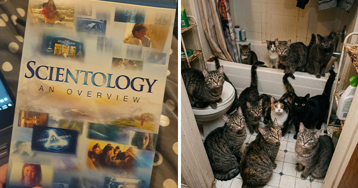 Wait ‘Til You Hear What These Guys Found At Someone’s Place!