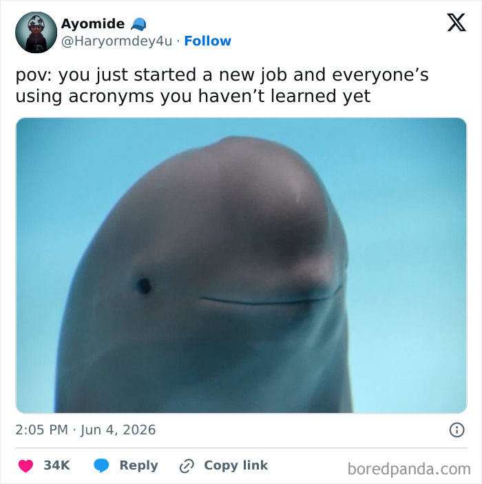 78 Hilariously True Posts About Surviving The Corporate Jungle