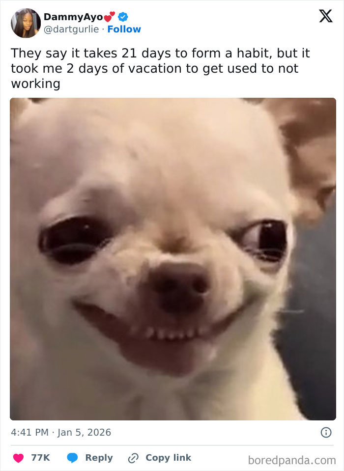 78 Hilariously True Posts About Surviving The Corporate Jungle