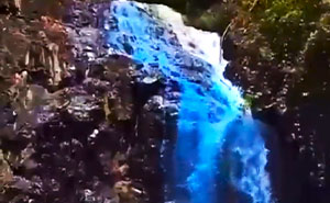 Oops! The Craziest Gender Reveal Fails That Make You Say What?!