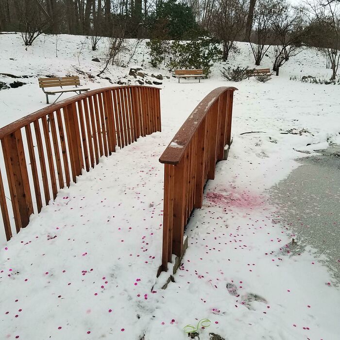 Gender Reveal in a Public Park Garden and They Left a Trash Party Behind