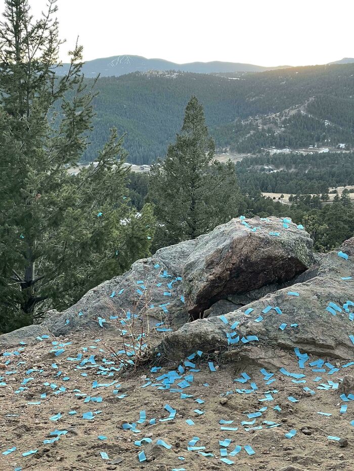 When Gender Reveal Parties Turn Parks Into Parties of Trash