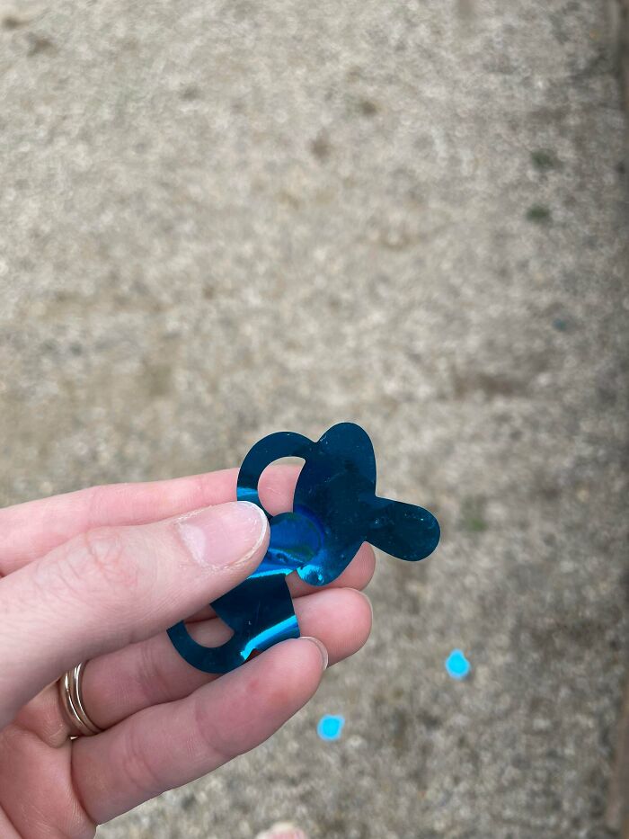 Gender Reveal in a Wildlife Area, Then the Mess Was Left