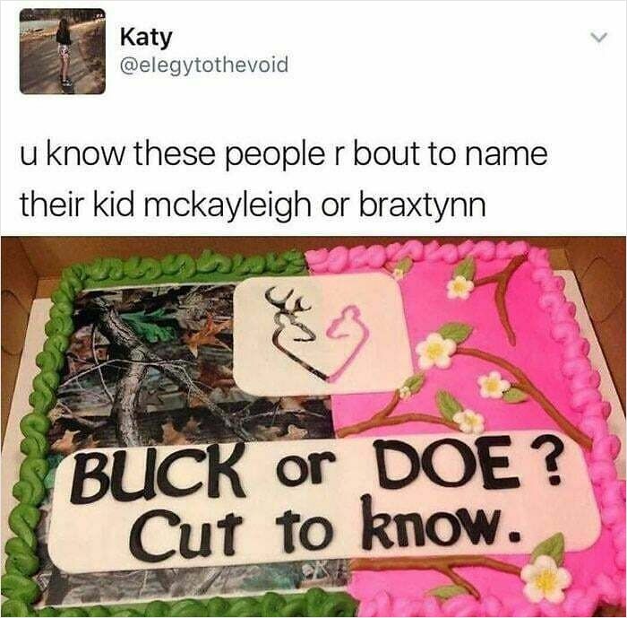 Just... Gender Reveals, Folks