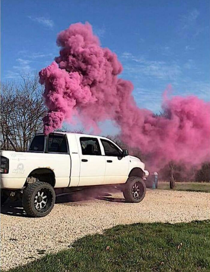 Oops! The Craziest Gender Reveal Fails That Make You Say What?!