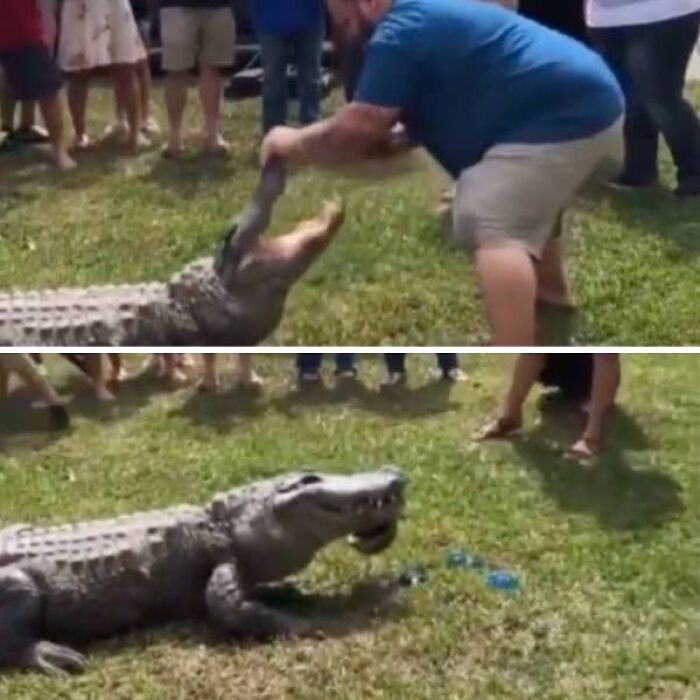Oops! The Craziest Gender Reveal Fails That Make You Say What?!