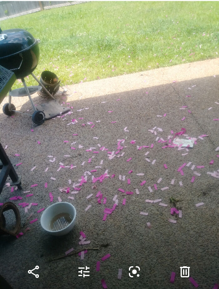 Oops! The Craziest Gender Reveal Fails That Make You Say What?!