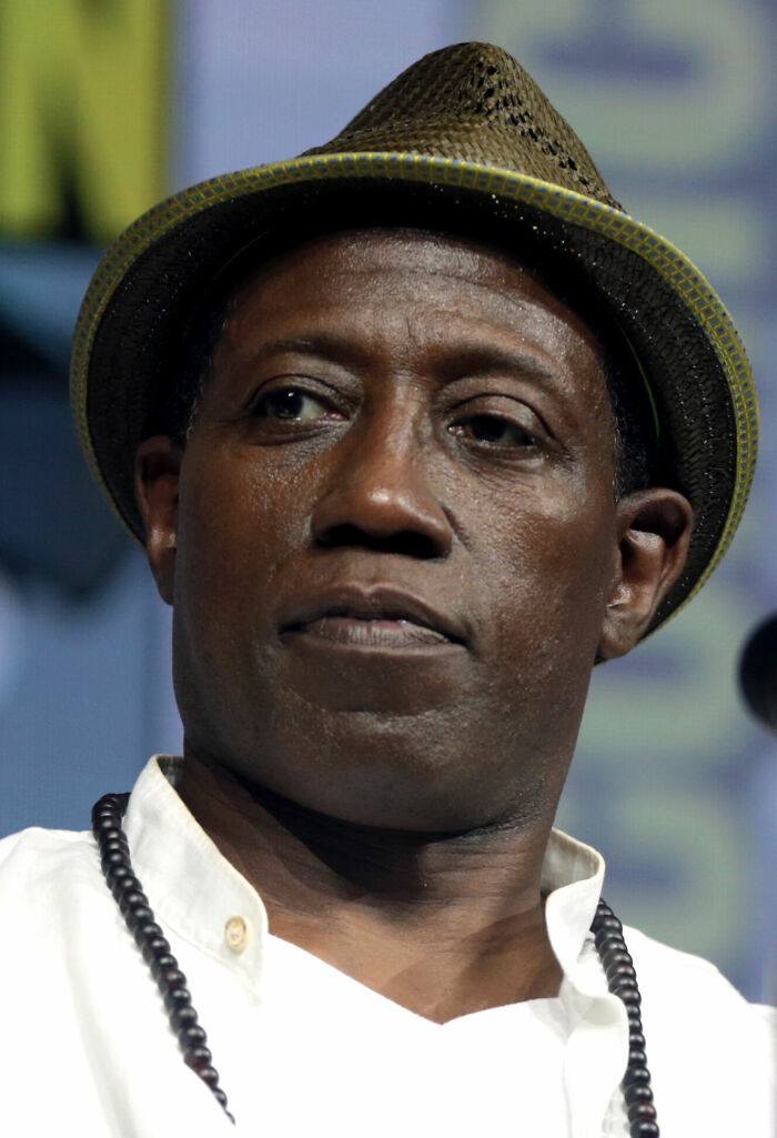 Wesley Snipes: Action Star and Karate Kid, 64