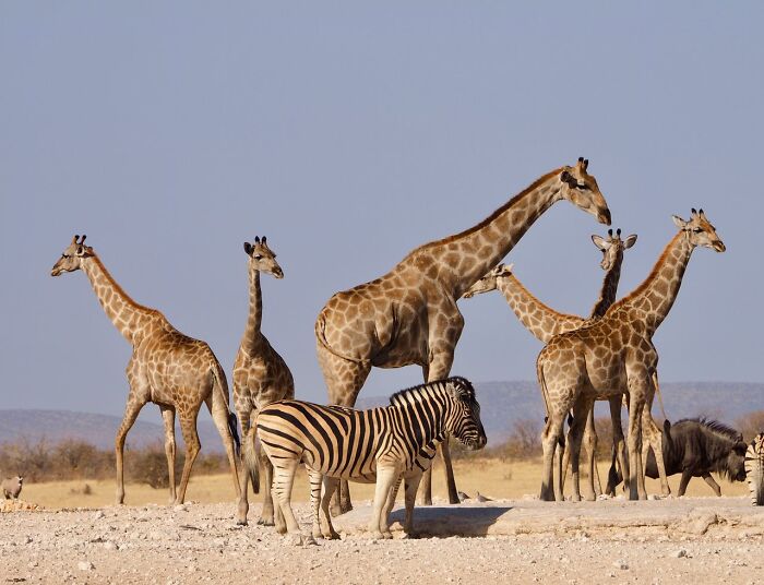 Wait, They Actually Ranked That?! 86 Wild Facts That'll Blow Your Mind
