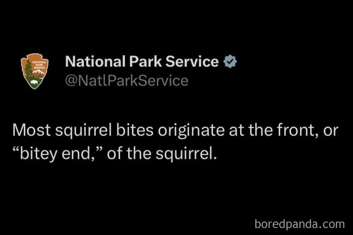 Wait, They Actually Got This Specific?!