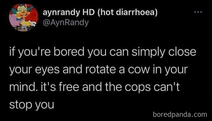Wait, They Actually Got This Specific?!