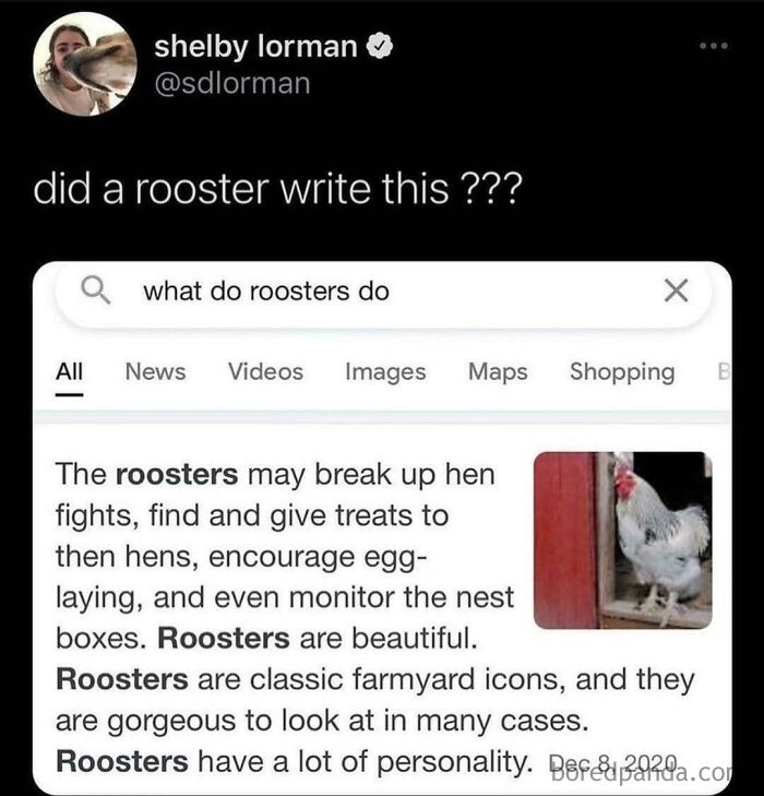Wait, They Actually Got This Specific?!