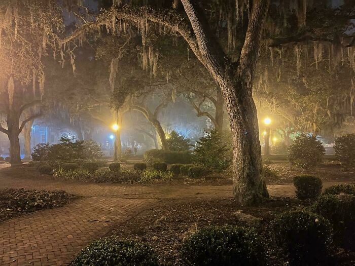 Dad’s iPhone Snapshot That Perfectly Sums Up Savannah, Georgia