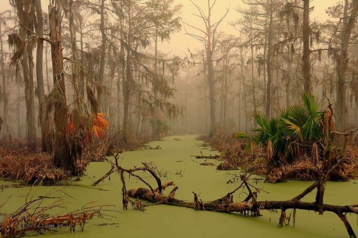 Say Hello To Louisiana, Humidity Included