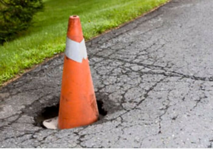 Rhode Island’s State Flower Absolutely Takes Over Highway Sides At Spring’s First Peek