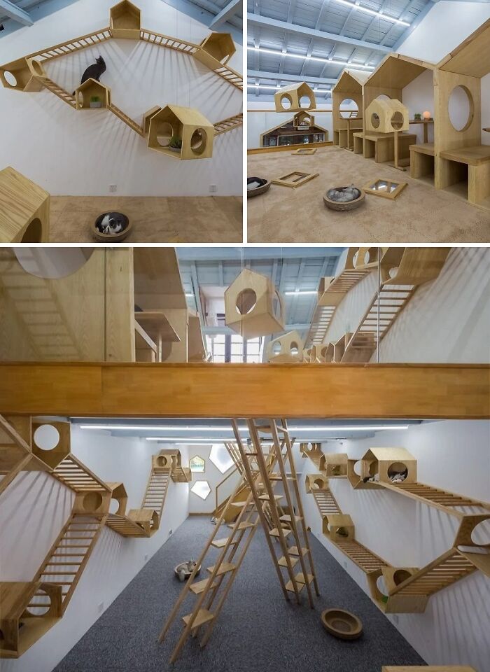 These 130 Designs Are So Clever They’ll Totally Surprise You