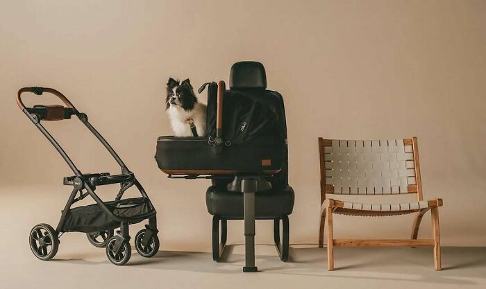 These 130 Designs Are So Clever They’ll Totally Surprise You