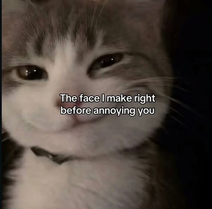 Wait, These Memes Are Shockingly Relatable!