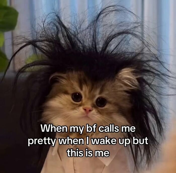 Wait, These Memes Are Shockingly Relatable!