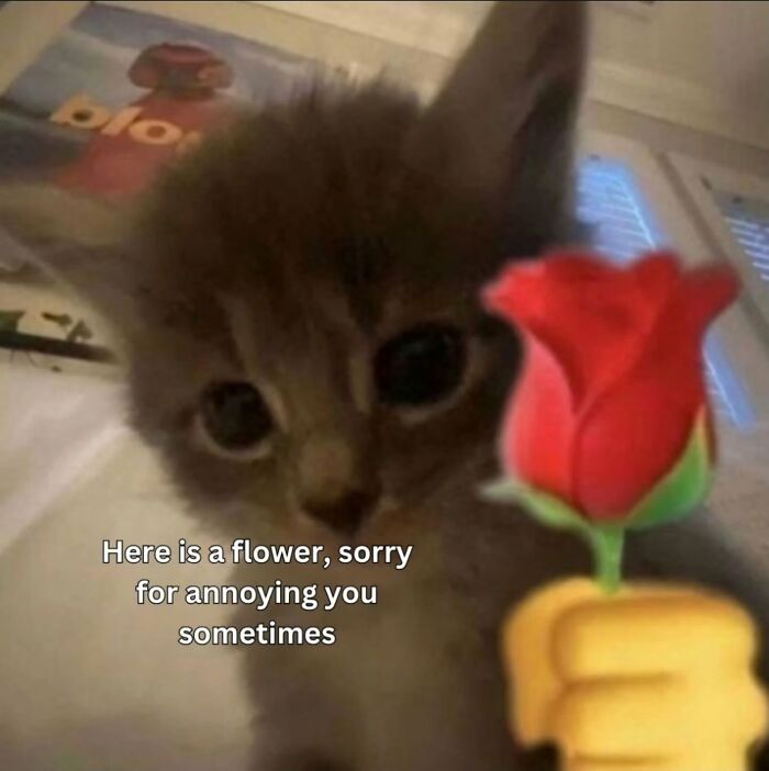 Wait, These Memes Are Shockingly Relatable!