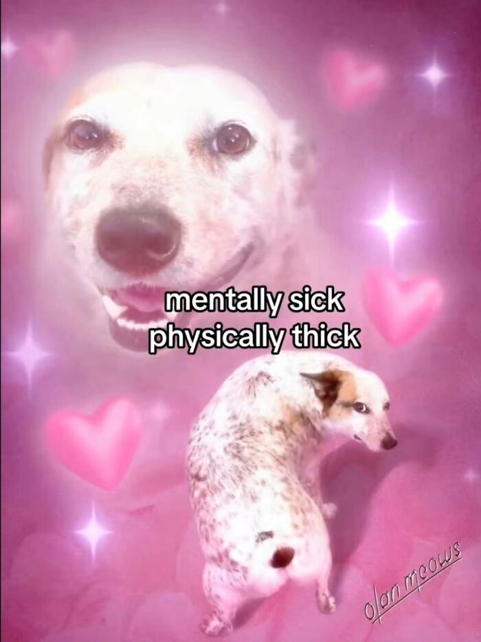 Wait, These Memes Are Shockingly Relatable!
