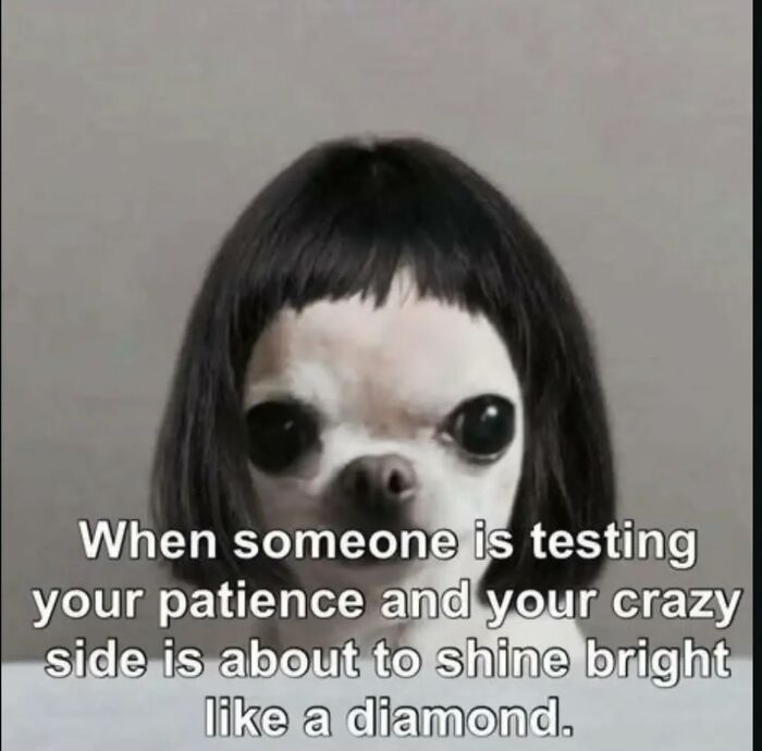 Wait, These Memes Are Shockingly Relatable!