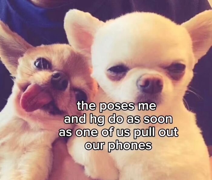 Wait, These Memes Are Shockingly Relatable!