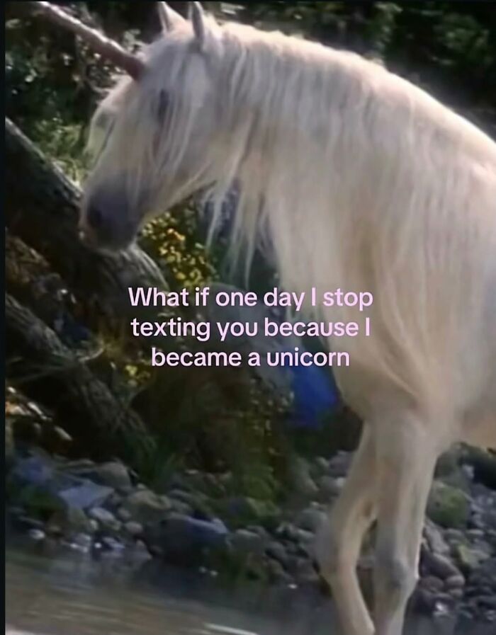 Wait, These Memes Are Shockingly Relatable!