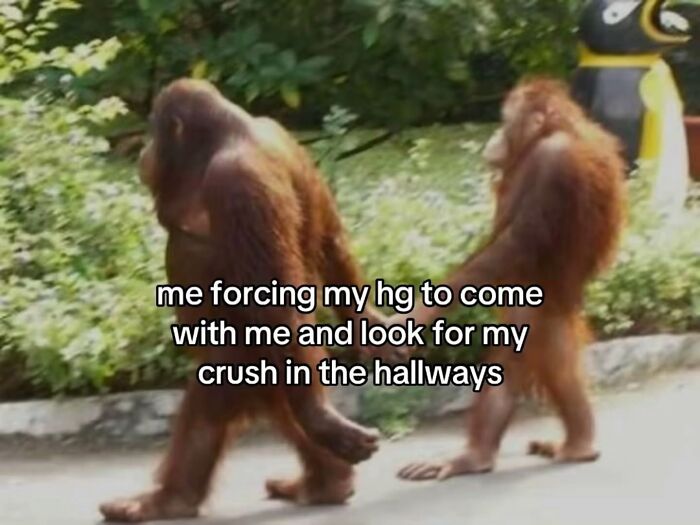 Wait, These Memes Are Shockingly Relatable!