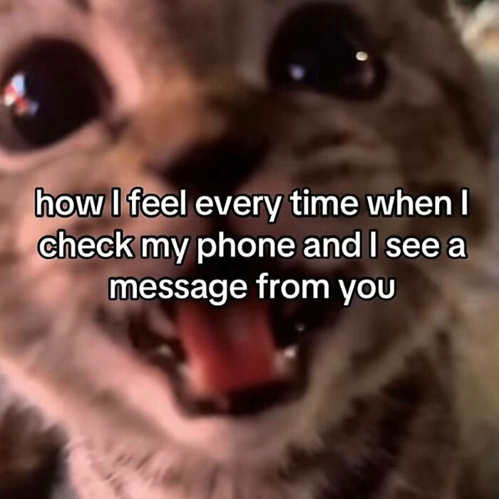 Wait, These Memes Are Shockingly Relatable!