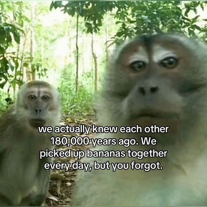 Wait, These Memes Are Shockingly Relatable!